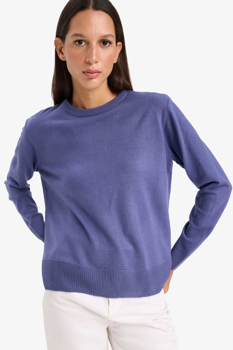 DeFacto Purple Woman Relax Fit Crew Neck Knit Pullover Casual - Image 3